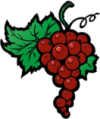 Краткая характеристика сортов винограда